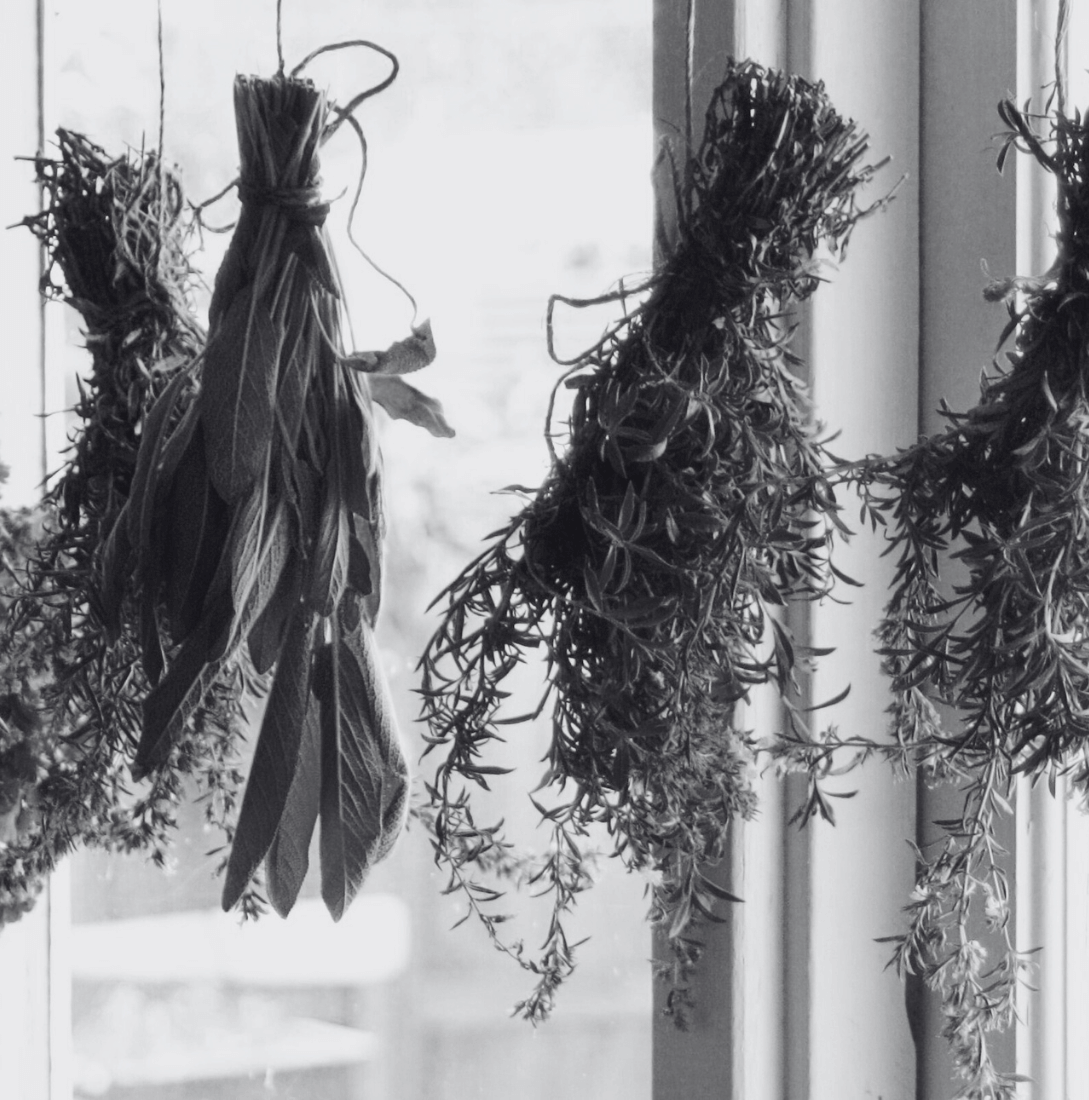 Herbs for fertility drying