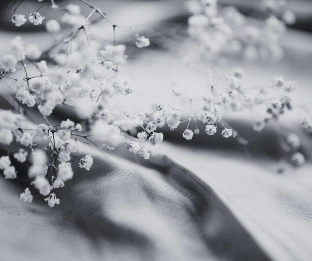 Understanding Fertility Over 40
