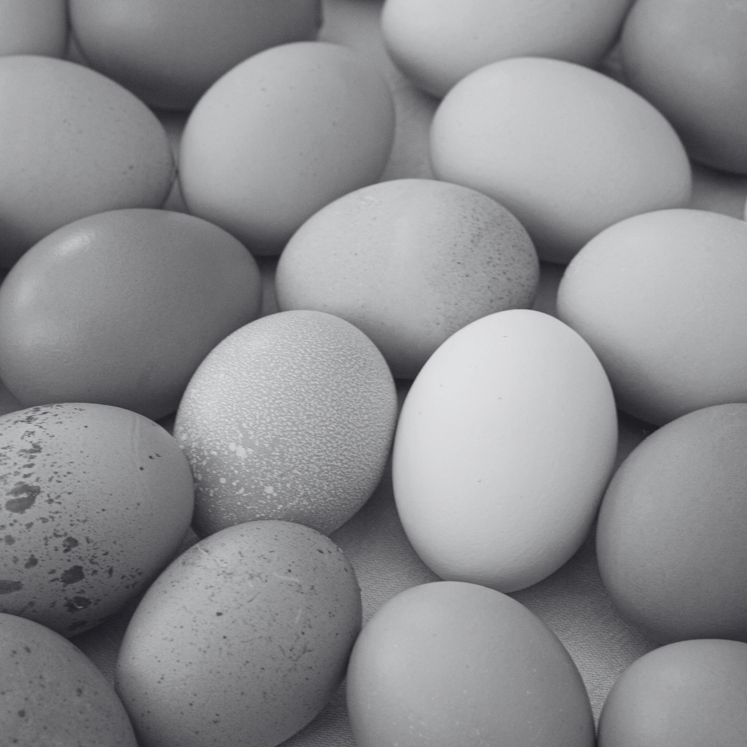 How to Improve Egg Quality Before an IVF Retrieval